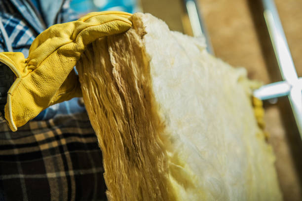 Best Eco-Friendly Insulation in Carlton, OR