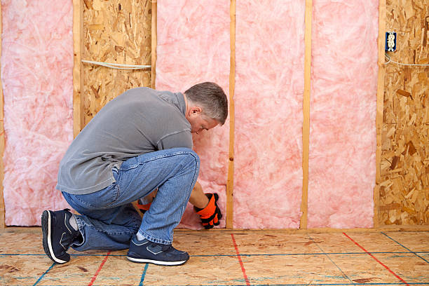 Best DIY Insulation Kits and Guidance in Carlton, OR