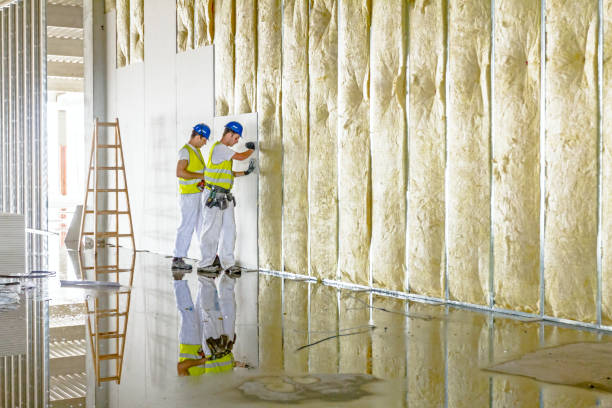 Types of Insulation We Offer in Carlton, OR
